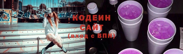 гашик Кодинск
