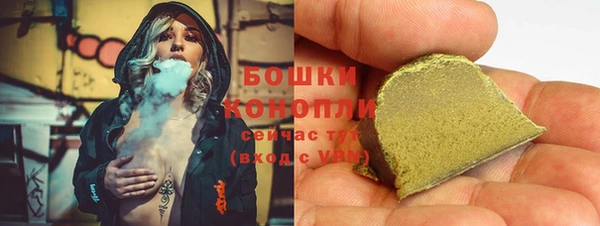 индика Киреевск