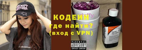 индика Киреевск
