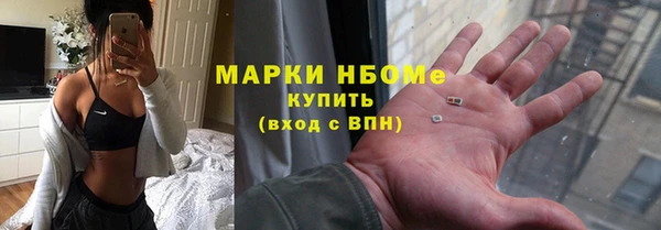 индика Киреевск