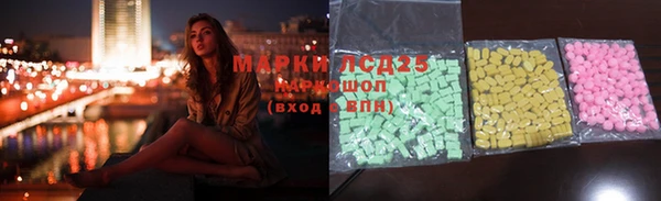 индика Киреевск