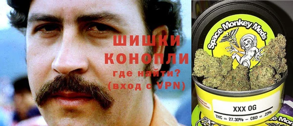 индика Киреевск