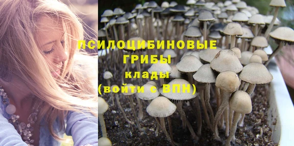 дмт Кинешма