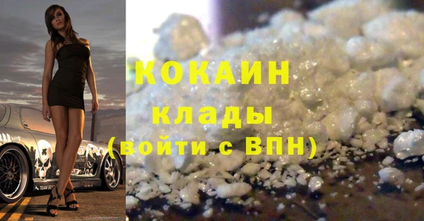 индика Киреевск
