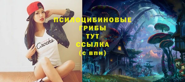 индика Киреевск